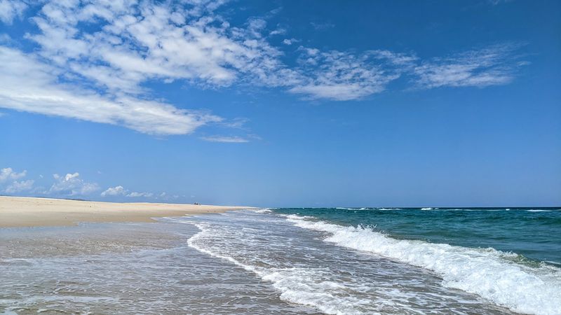 Shelling the South Core Banks