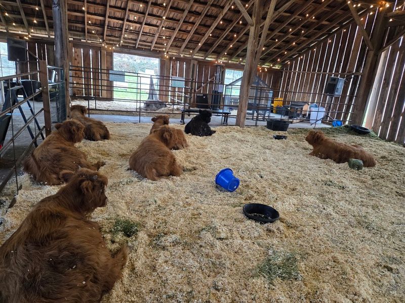 Covered Barn Comfort In Any Weather