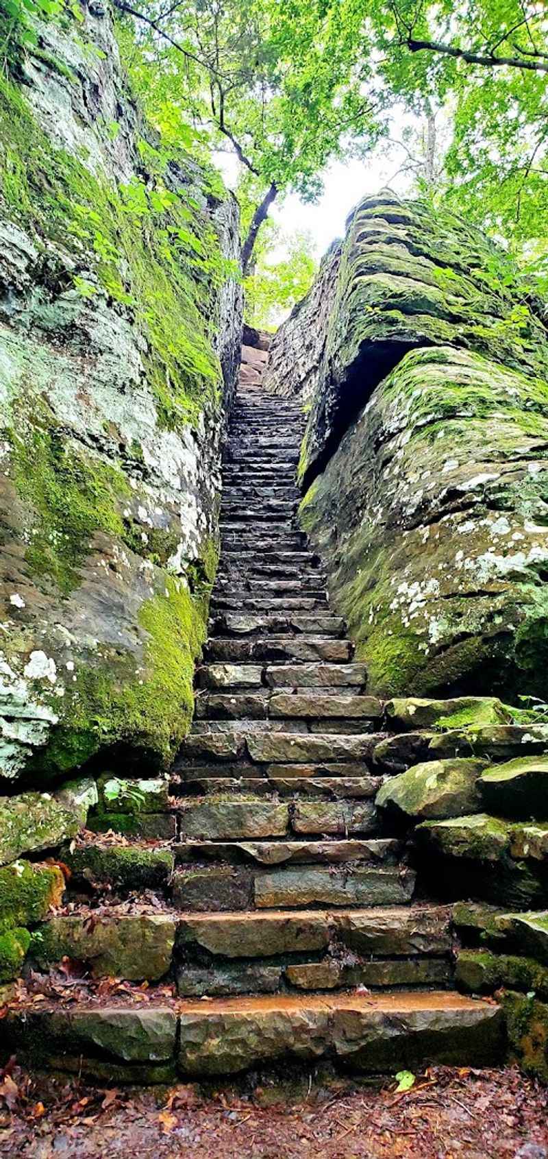 Where The Trail Starts Strong