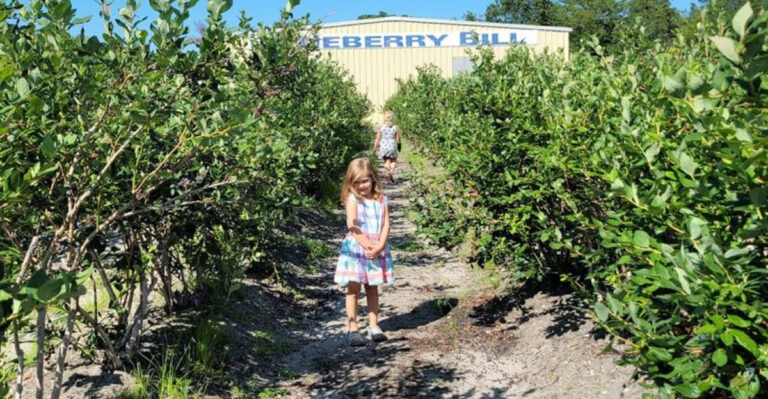 Meet the New Jersey Town Known as the Blueberry Capital of the World