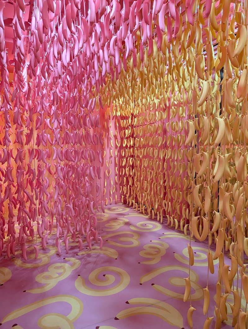 Banana Jungle and the Joy of a Split