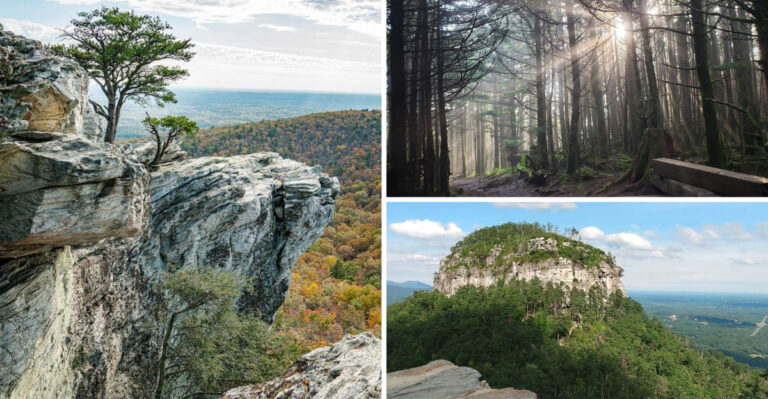 Need a Reset? These 10 North Carolina Hikes Make It Easy to Unplug