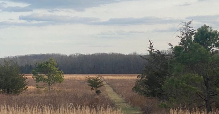 New Jersey’s 13 Best Hidden River Trails, According to Locals
