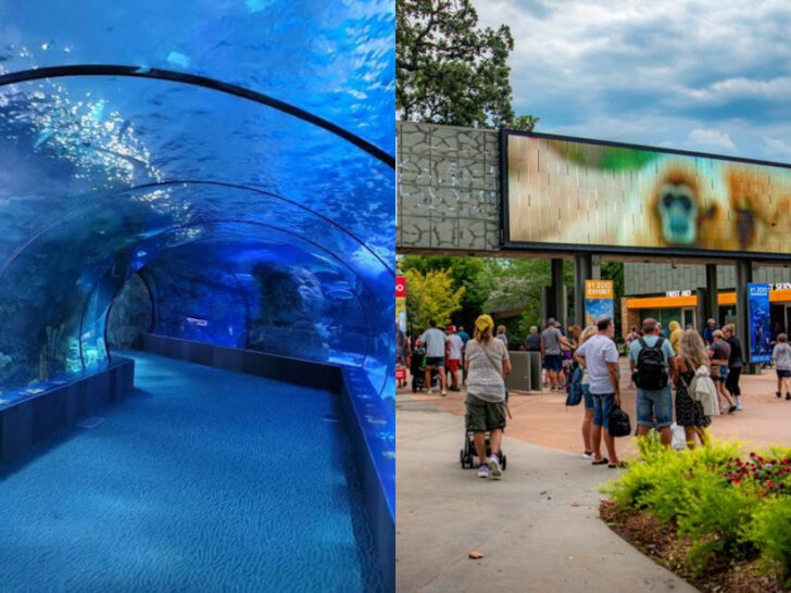 One of Nebraska&rsquo;s Largest Zoos Has a World-Class Aquarium Where the Underwater Tunnel Alone Is Worth the Trip