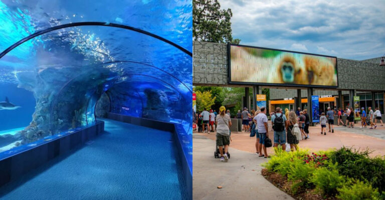 One of Nebraska’s Largest Zoos Has a World-Class Aquarium Where the Underwater Tunnel Alone Is Worth the Trip