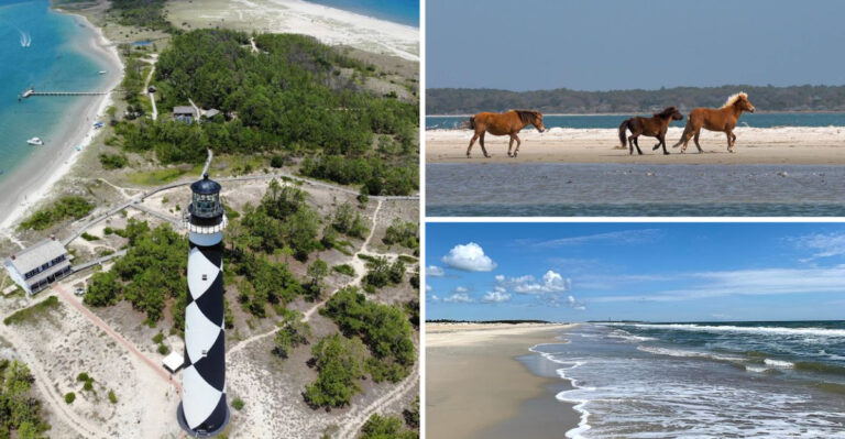 One of North Carolina’s Most Isolated Spots Has Wild Horses, No Roads In, and a Lighthouse From 1859
