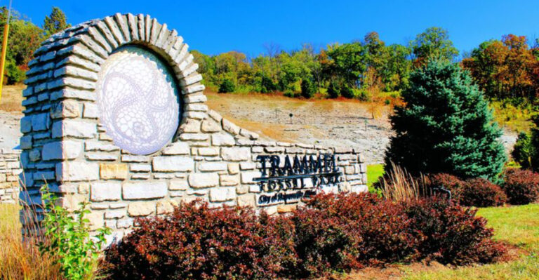 One Ohio Park Gives Visitors A Rare Chance To Search For Ancient Fossils From 450 Million Years Ago