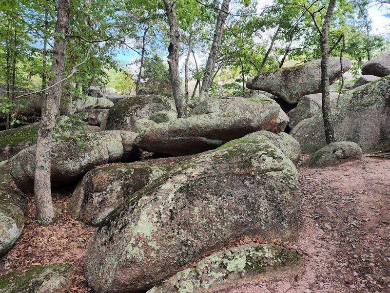 How To Explore Elephant Rocks With Kids (Safely And Easily)