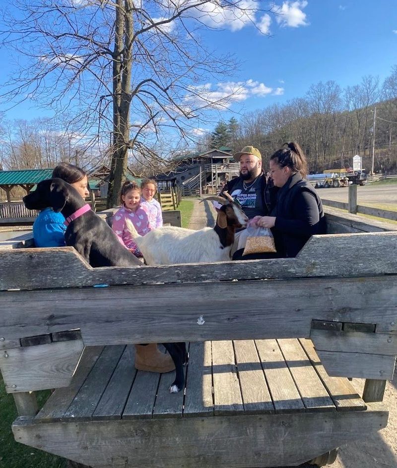 Wagon Ride Through the Pastures