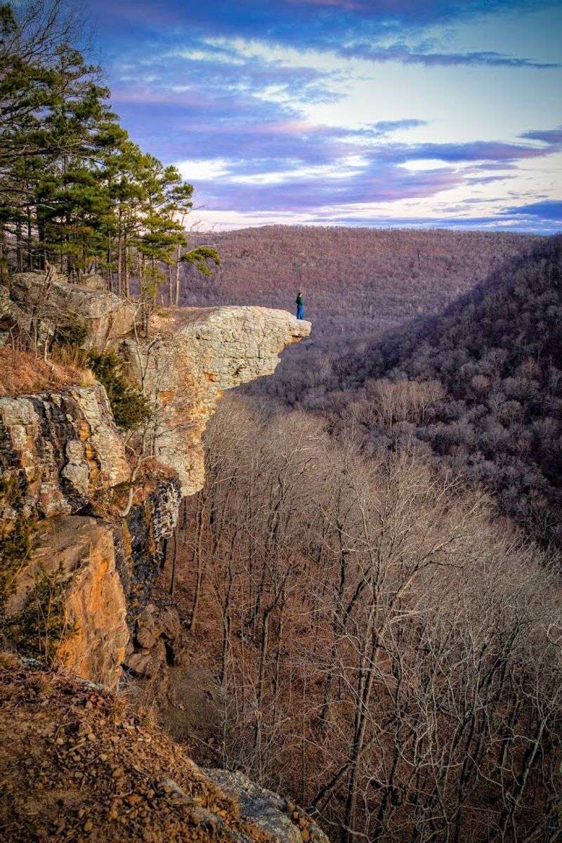 Whitaker Point (Hawksbill Crag) Trail