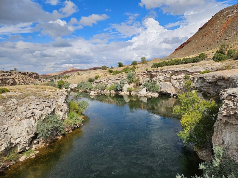 Picnics, River Breezes, and Reset Moments