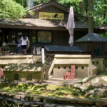 Sip and Soak in Spring at These 9 Garden Cafés Across Arkansas