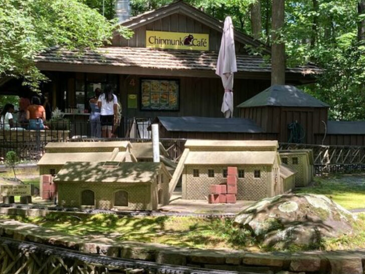 Sip and Soak in Spring at These 9 Garden Caf&eacute;s Across Arkansas