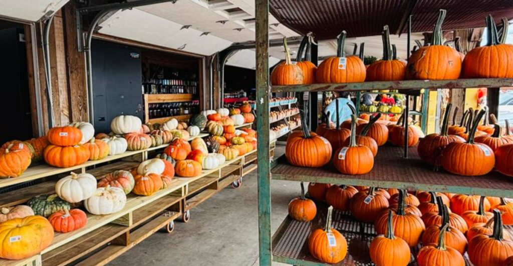 Spend a Perfect Morning at These Family-Friendly U-Pick Farms in Georgia