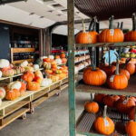 Spend a Perfect Morning at These Family-Friendly U-Pick Farms in Georgia