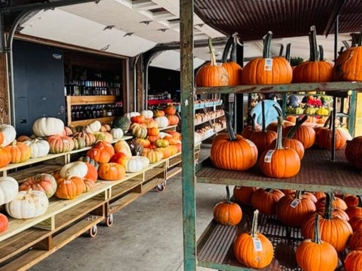 Spend a Perfect Morning at These Family-Friendly U-Pick Farms in Georgia