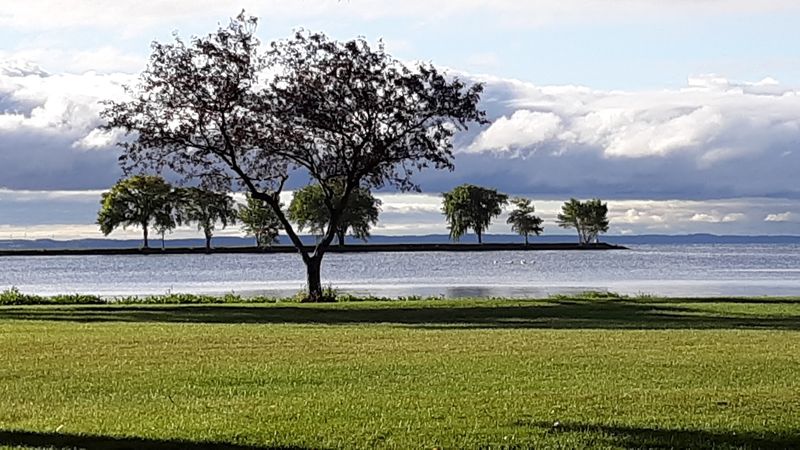 Neighborhood Vibes You Can Actually Afford