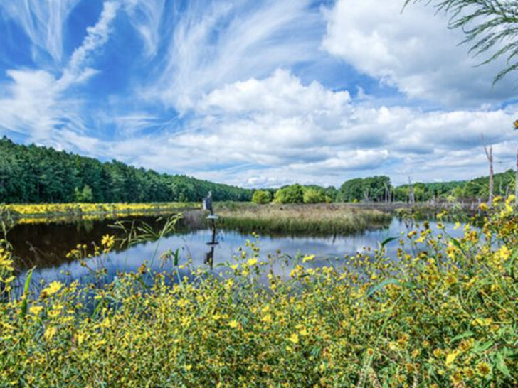 Take It Slow at These 10 Stunning State Parks Across Virginia