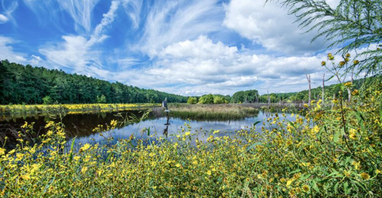 Take It Slow at These 10 Stunning State Parks Across Virginia