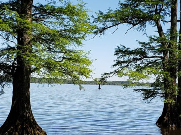 Tennessee&rsquo;s Most Unusual Lake Was Created by a Violent Earthquake