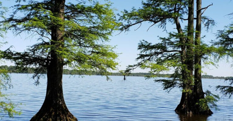 Tennessee’s Most Unusual Lake Was Created by a Violent Earthquake