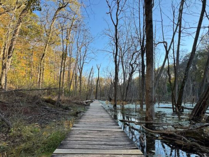 The Natural Wonder Tucked Away In This Tiny Ohio Town Is Absolutely Spectacular