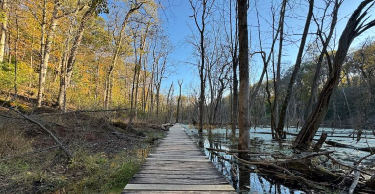 The Natural Wonder Tucked Away In This Tiny Ohio Town Is Absolutely Spectacular