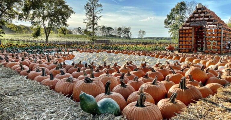 The Picture-Perfect New Jersey Farm You Can Only Visit During Select Seasons