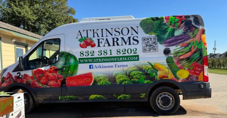 The Secret Texas Farm Where Kids Can Pick Fresh Strawberries Every Spring