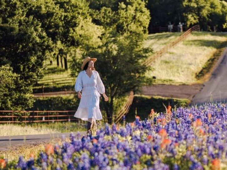 The Small Texas Town Famous for Massive Bluebonnet Fields Each Spring