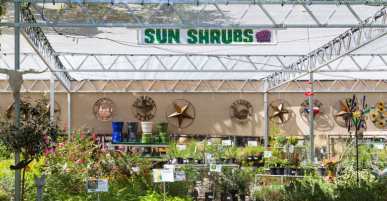 The Texas Garden Center Tucked Under A Giant Oak Tree That Feels Like A Hidden Green Escape