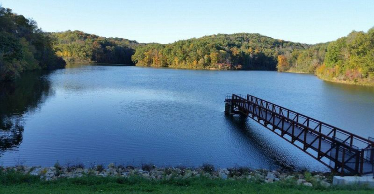 The Untouched Forest Around This Ohio Lake Will Make You Feel Worlds Away