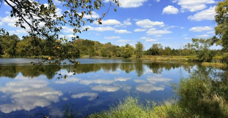 These 12 Ohio Nature Trails And Wildflower Walks Are Great For A Spring Escape