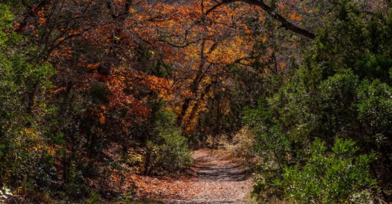 These 13 Peaceful Texas Spots Feel Like Hitting the Reset Button