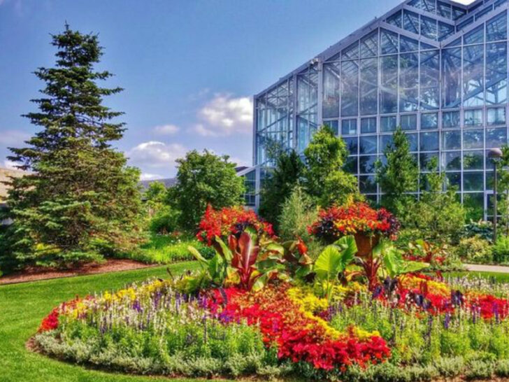 These 13 Scenic Michigan Spots Make Spring Feel Like a Fairytale