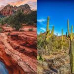 These 7 Arizona Trails Are Short, Sweet, and Absolutely Stunning