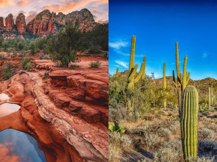 These 7 Arizona Trails Are Short, Sweet, and Absolutely Stunning