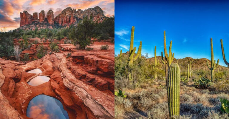 These 7 Arizona Trails Are Short, Sweet, and Absolutely Stunning