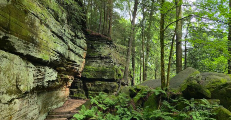 These 8 Natural Wonders In Ohio Seem Almost Too Beautiful To Be Real