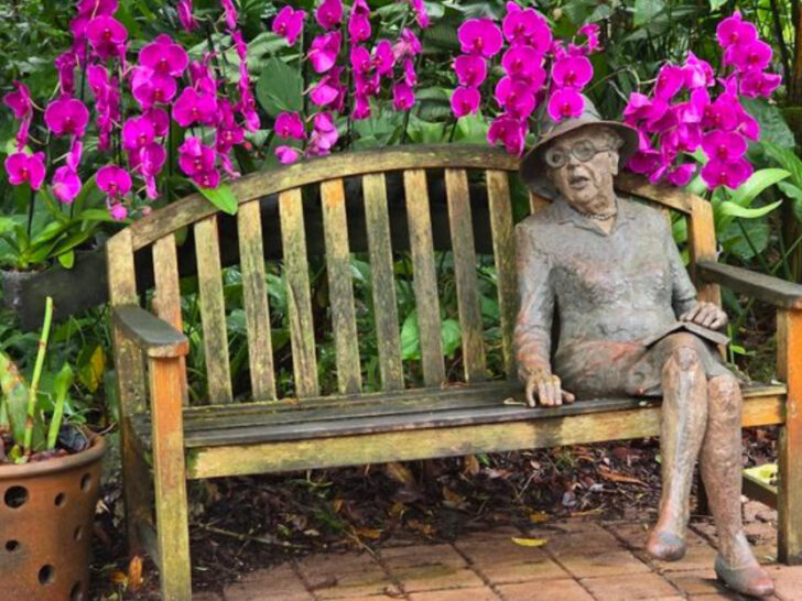 This 83-Acre Tropical Garden in Miami Showcases Rare Orchids, a Butterfly Pavilion, and a Canopy Walk That Makes You Feel Miles Away From the City