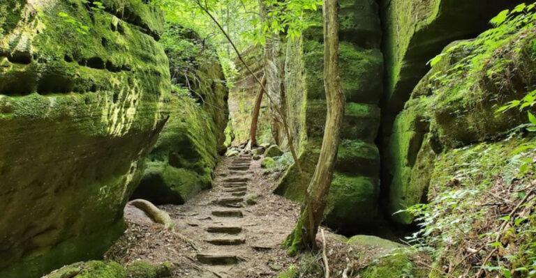 This Alabama Hideaway Lets You Explore a Hidden Mini Rainforest