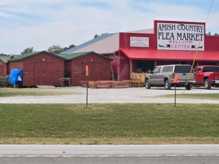 This Amish Flea Market in Tennessee Is the Perfect Spring Stop for Rare Finds and Great Food