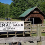 This Animal Park in New York Lets You Hand-Feed Animals in a Soothing Setting