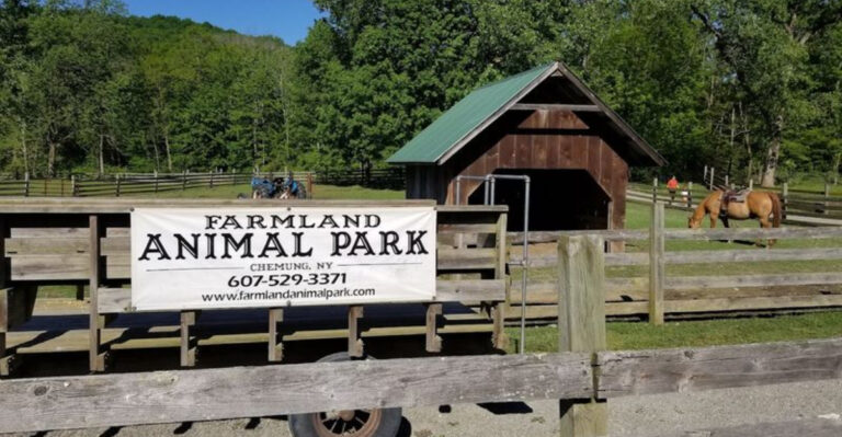 This Animal Park in New York Lets You Hand-Feed Animals in a Soothing Setting