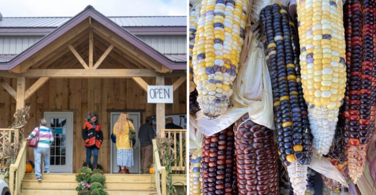 This Authentic Amish Market in Maine Offers the Shopping Experience of a Lifetime