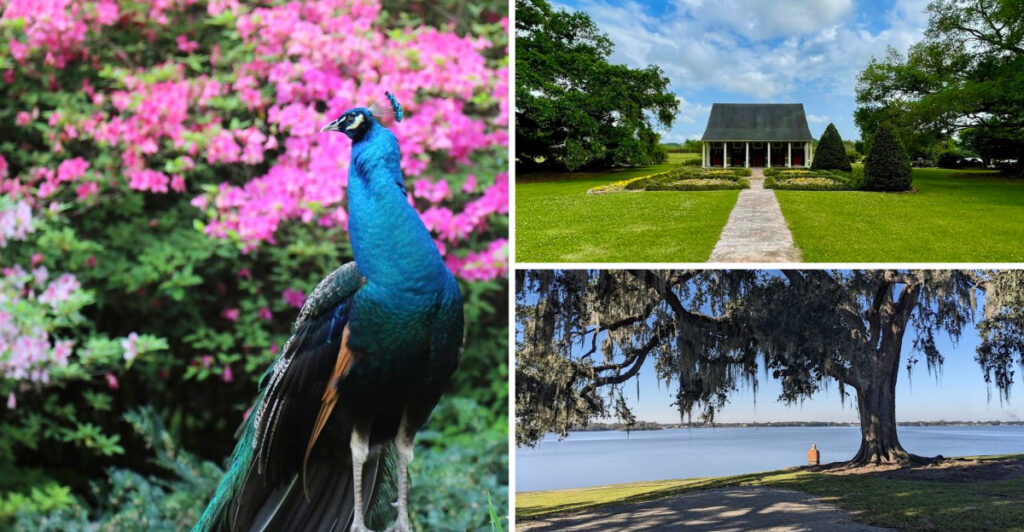 This Dreamy Botanical Garden in Louisiana Looks Like a Storybook Brought to Life