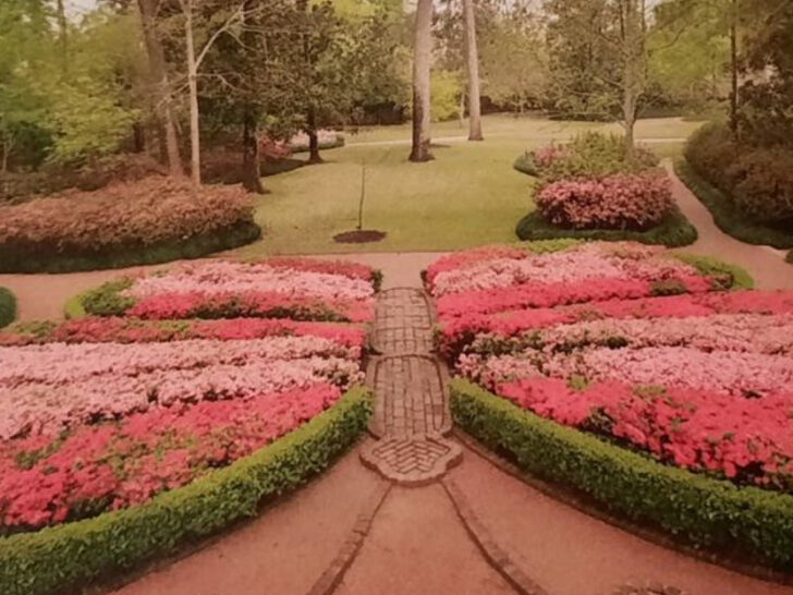 This Hidden 14-Acre Garden Estate in Houston Feels Straight Out of Bridgerton &ndash; And It&rsquo;s Just $14