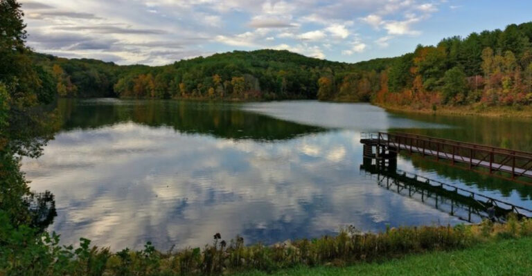 This Hidden Ohio Lake Is Surrounded By Ancient Forest That Has Never Been Logged