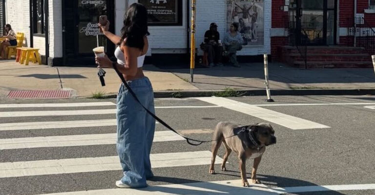 This New Jersey Café Is Winning Over Dog Owners With $2 Puppuccinos