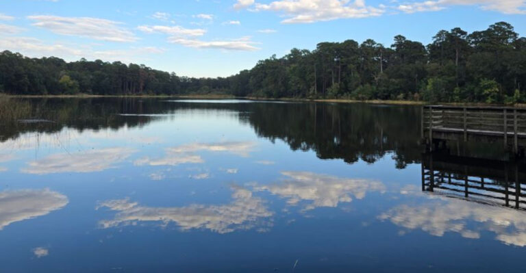 This Peaceful Texas State Park Feels Like a Pineywoods Escape Near Houston